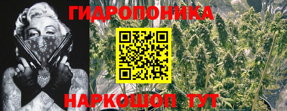 Канабис план Асино